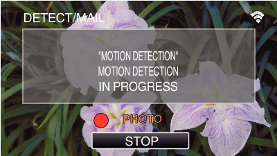 C3_WiFi Screen DETECTION STANDBY PHOTO